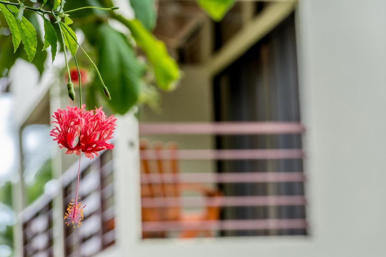 Sea Tower Hotel Puerto Viejo de Talamanca Екстер'єр фото