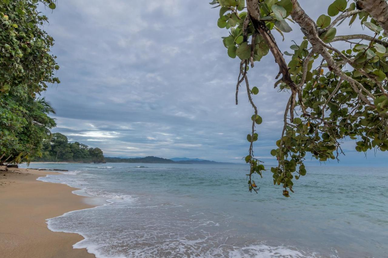 Sea Tower Hotel Puerto Viejo de Talamanca Екстер'єр фото